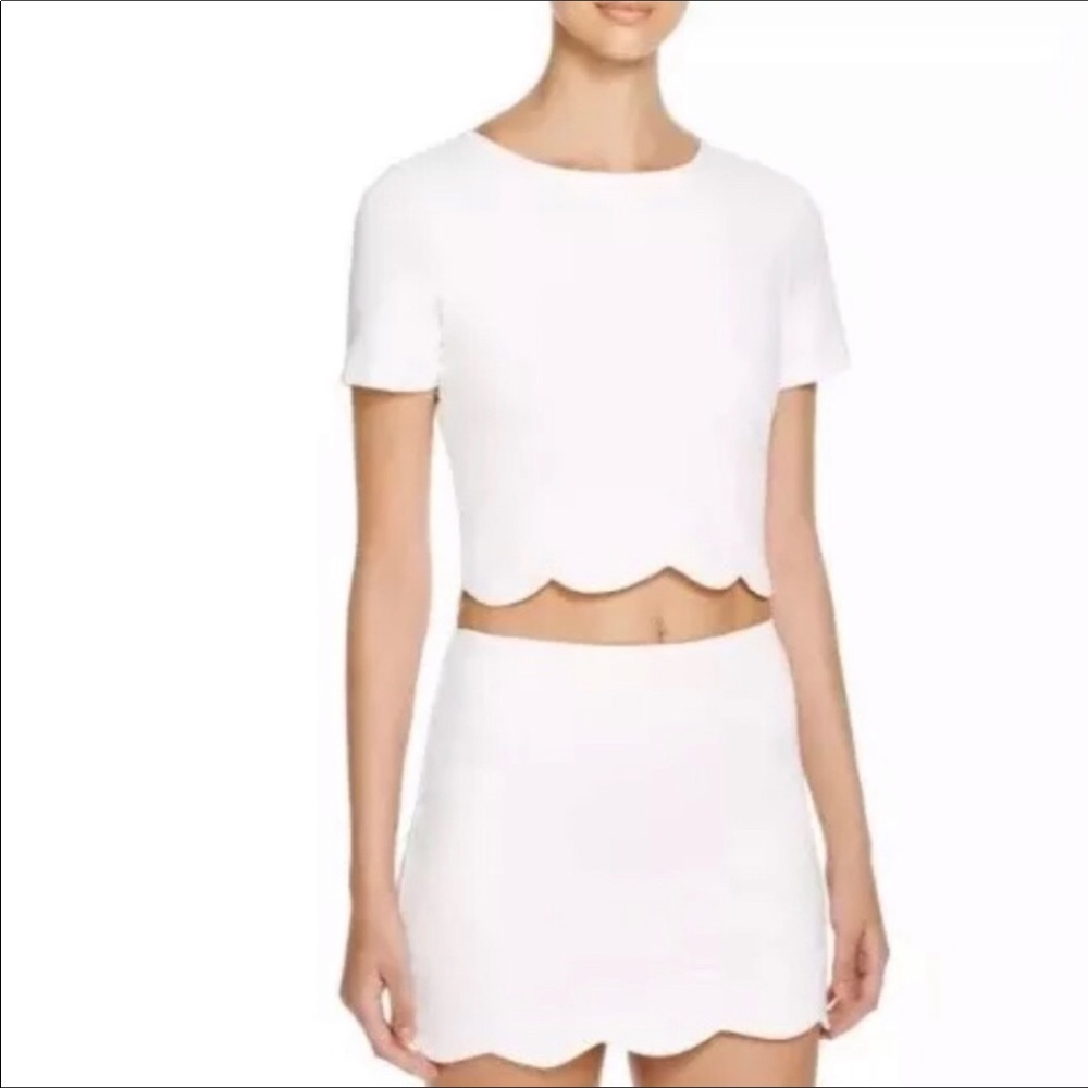 Aqua Scalloped Crop Top - NWT!!